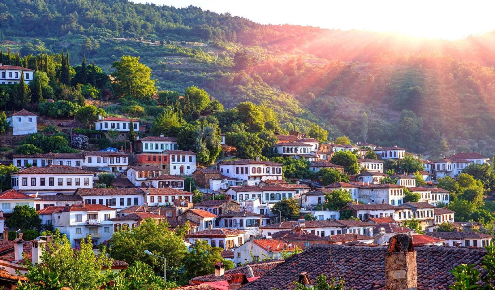 Sirince Village Tour: Discover Why It's Turkey's Best-Kept Secret for Culture, Wine & Views